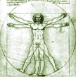 Vitruvian Man