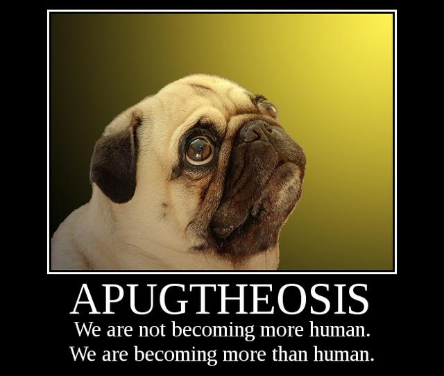 APUGTHEOSIS